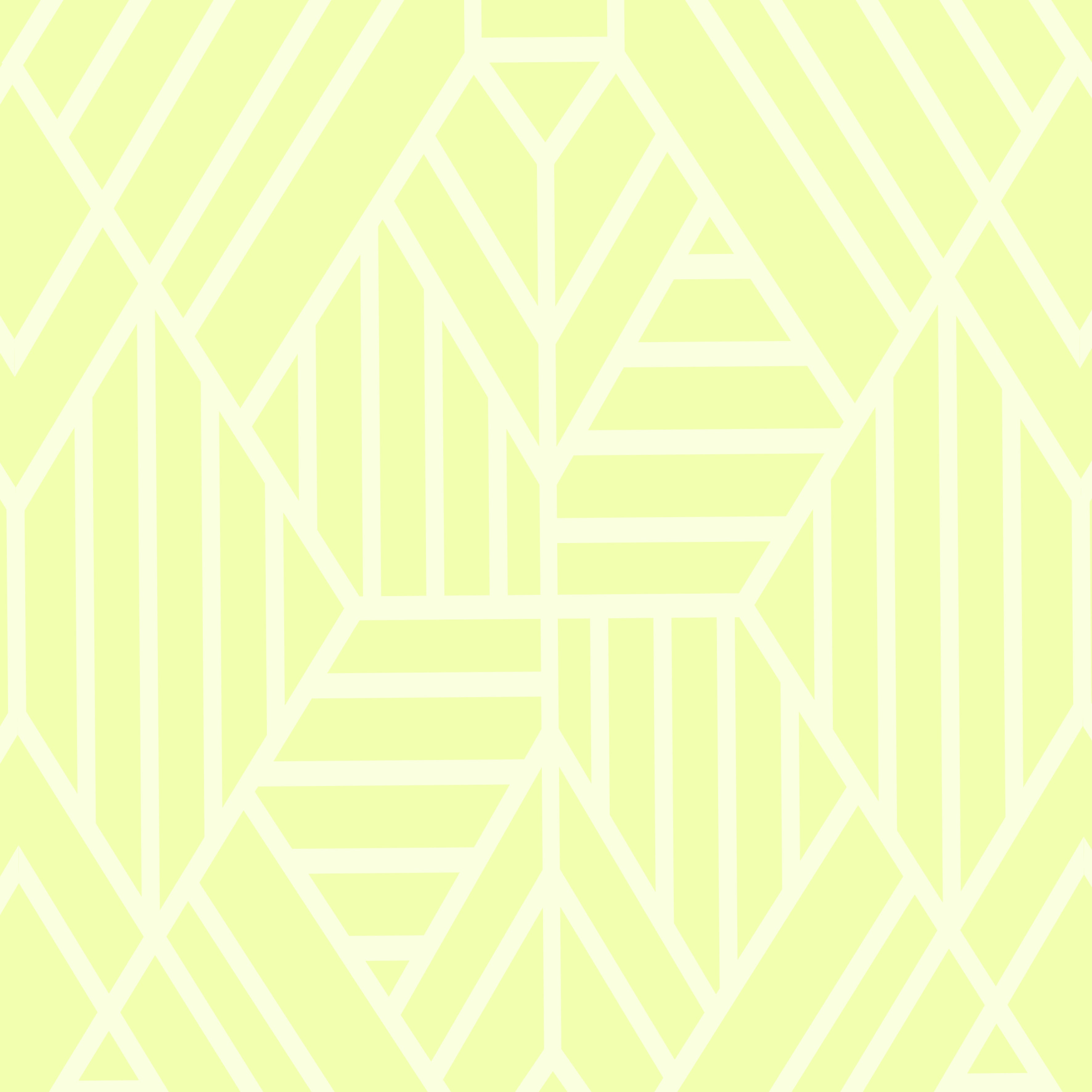 LE CHIC ACID