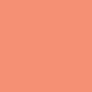 CONFECTION