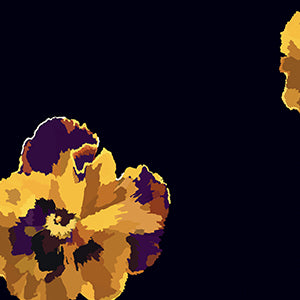 VIOLA TRICOLOR