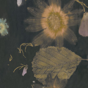 st.fiore antracite