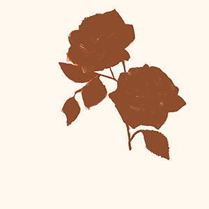 ROSA MACRO COCCIO