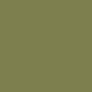 VERDE MUSCHIO