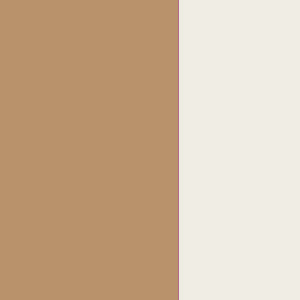 INCENSE/HOT MILK