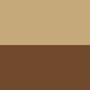BRUCIATO-NOCCIOLA