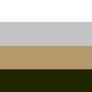 BIANCO-GREY-NOCC-MIL