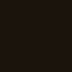 BROWN - EBONY